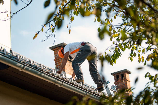 Roof Gutter Cleaning in Sandy Springs, GA